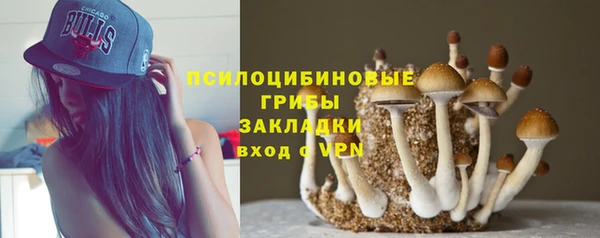 прущие грибы Козельск