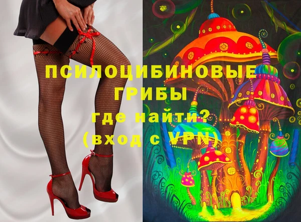 2c-b Корсаков