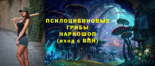 первитин Коряжма
