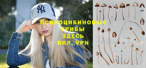 прущие грибы Козельск