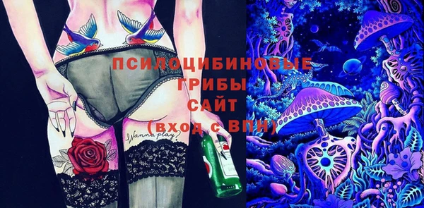 первитин Коряжма