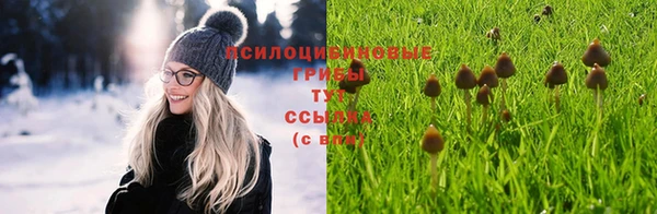 спайс Заводоуковск