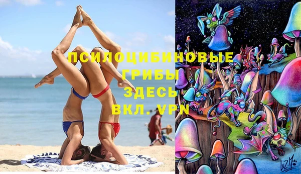 прущие грибы Козельск